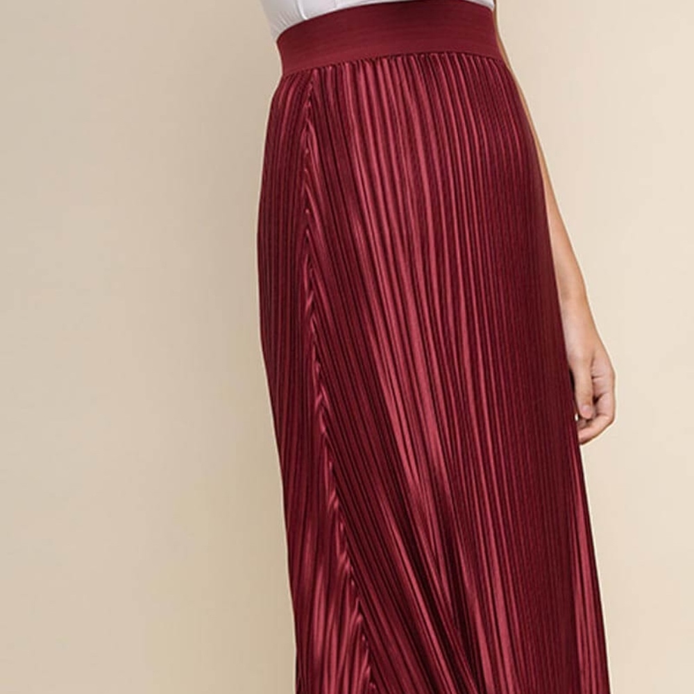 So Sheer Wine Pleated Maxi Skirt
